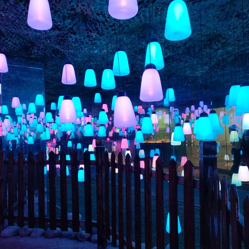 自私的猫有鱼吃