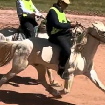 ᠲᠡᠯᠡᠢ🏸🌙☀️🏸