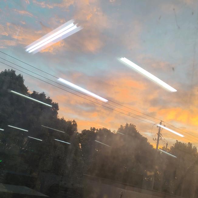 感性的蛙(跑刀鼠)