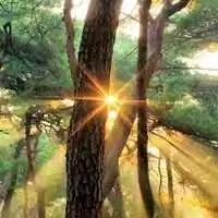 心存善念天有感应