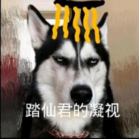 喜欢是命中注定啦
