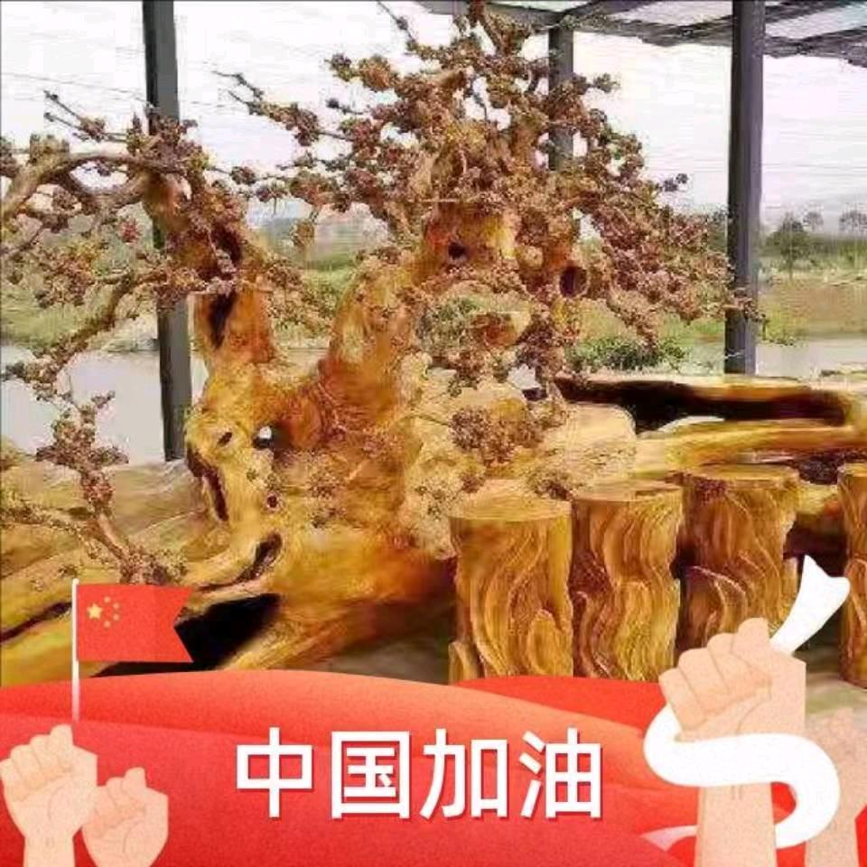 竞苗-曹玉