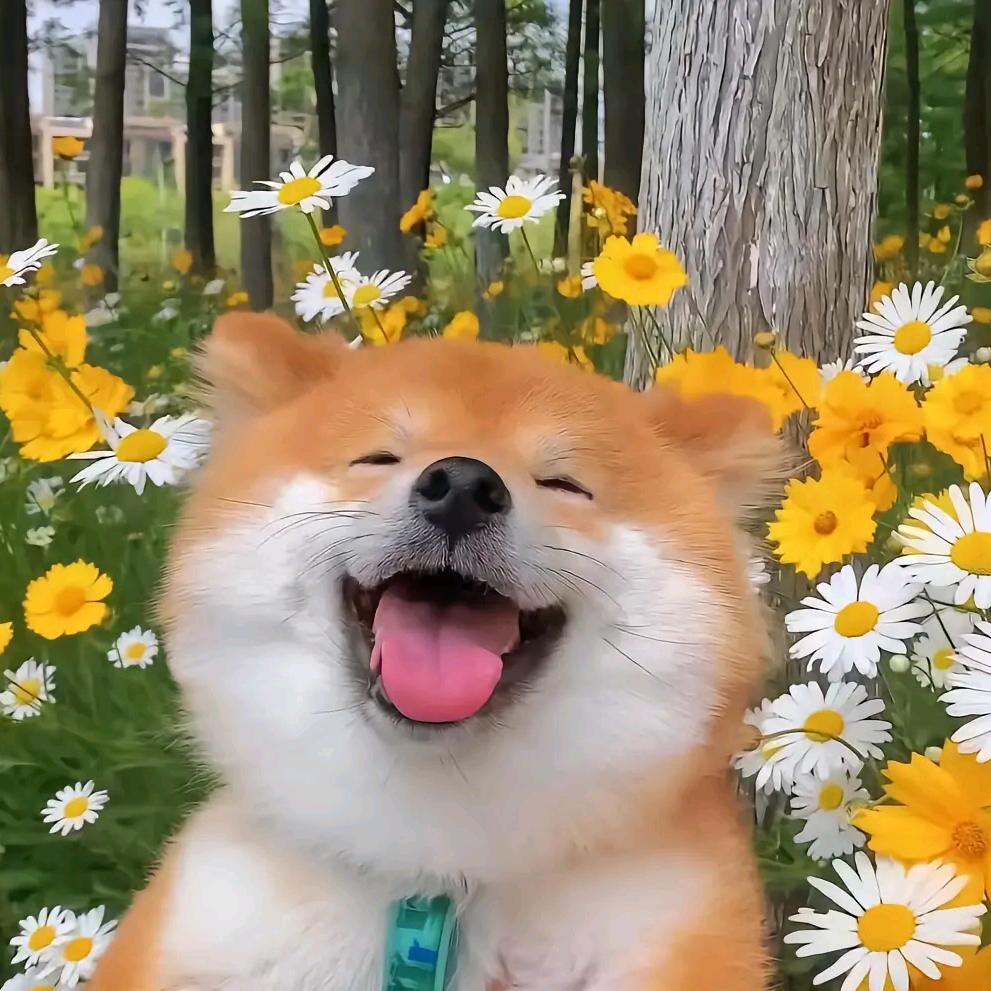 三关茗心