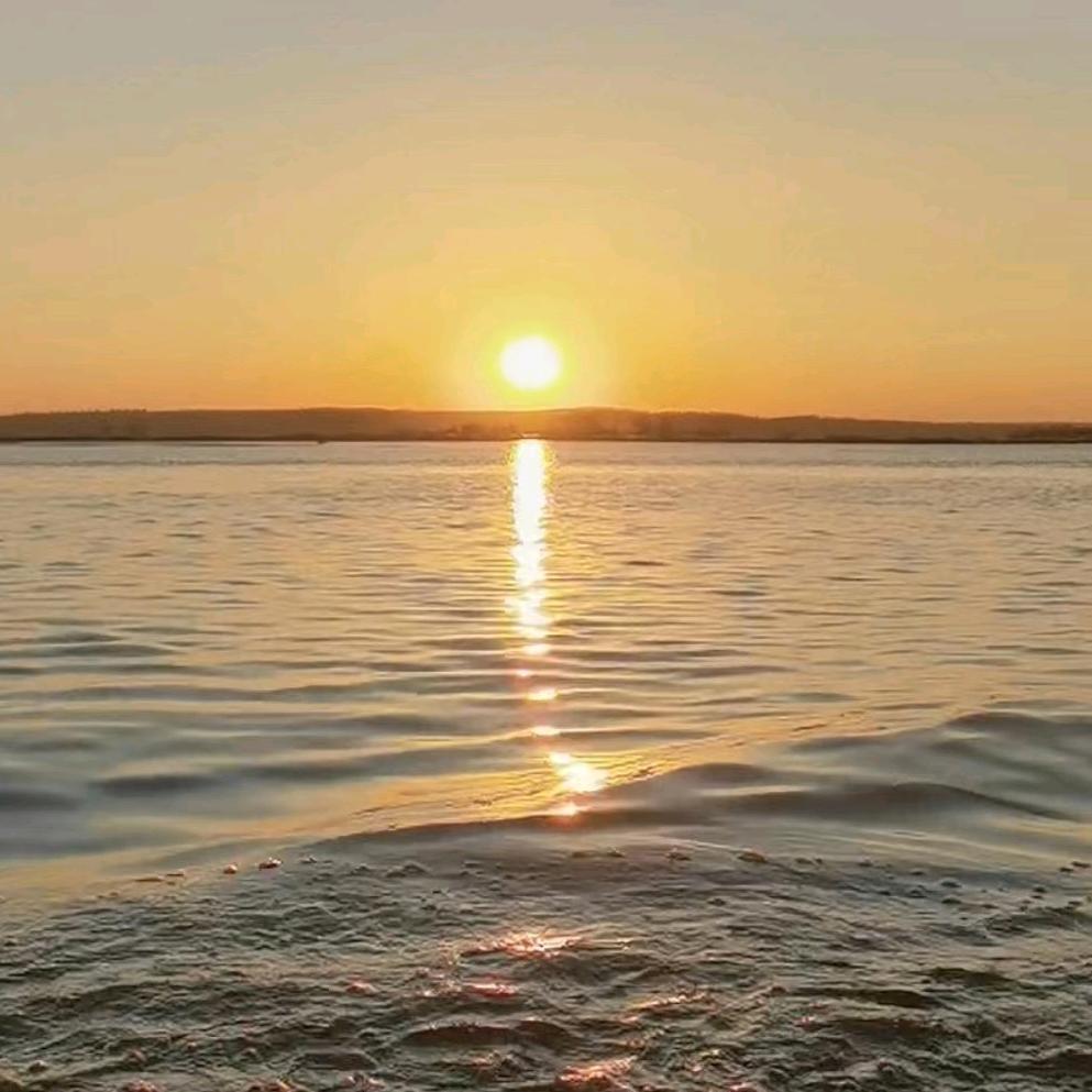 二刘野生鱼销售处