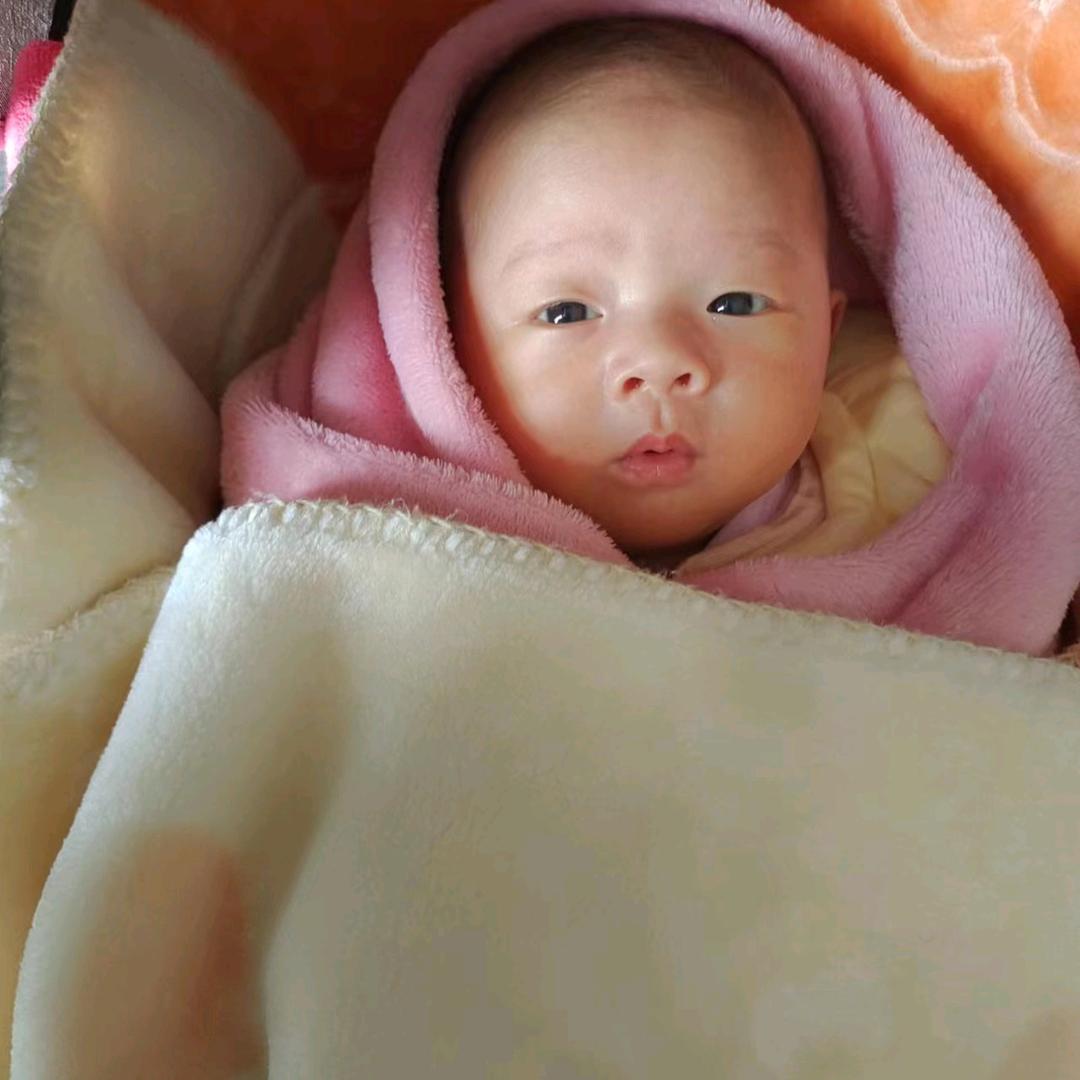 小馄饨