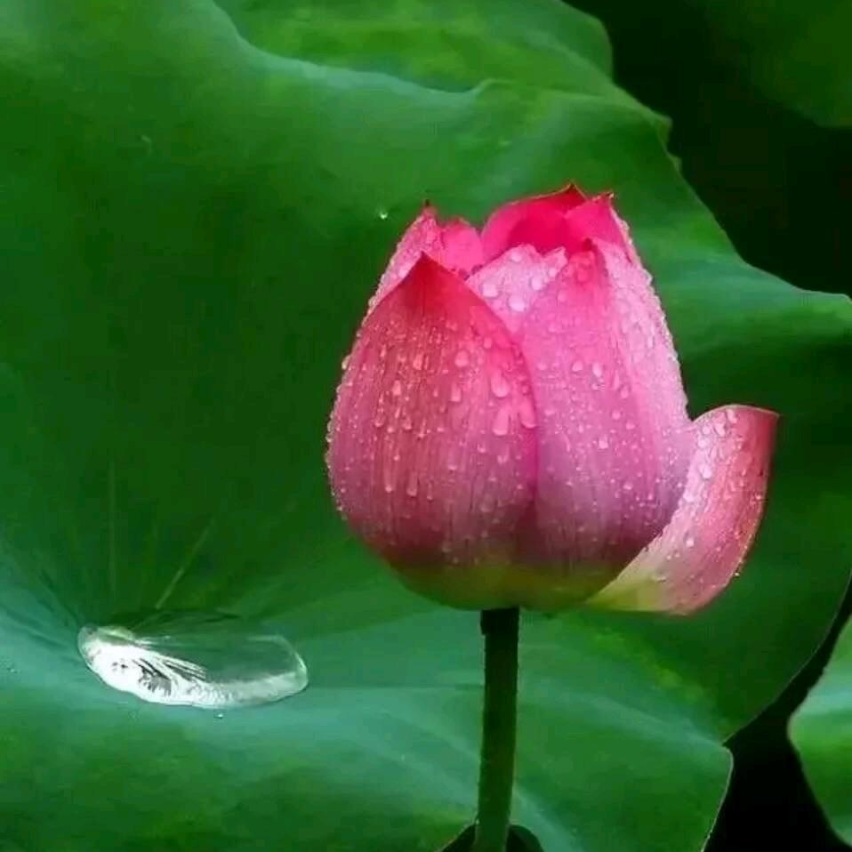 一世平安