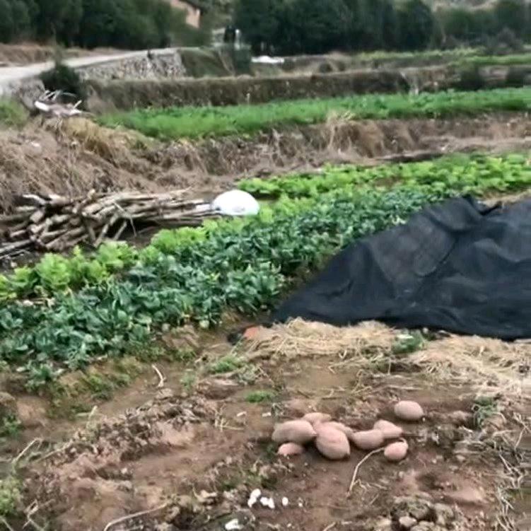 羡慕别人不如完美自己！