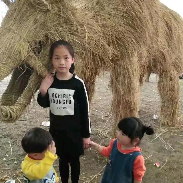 又见樱花🌸