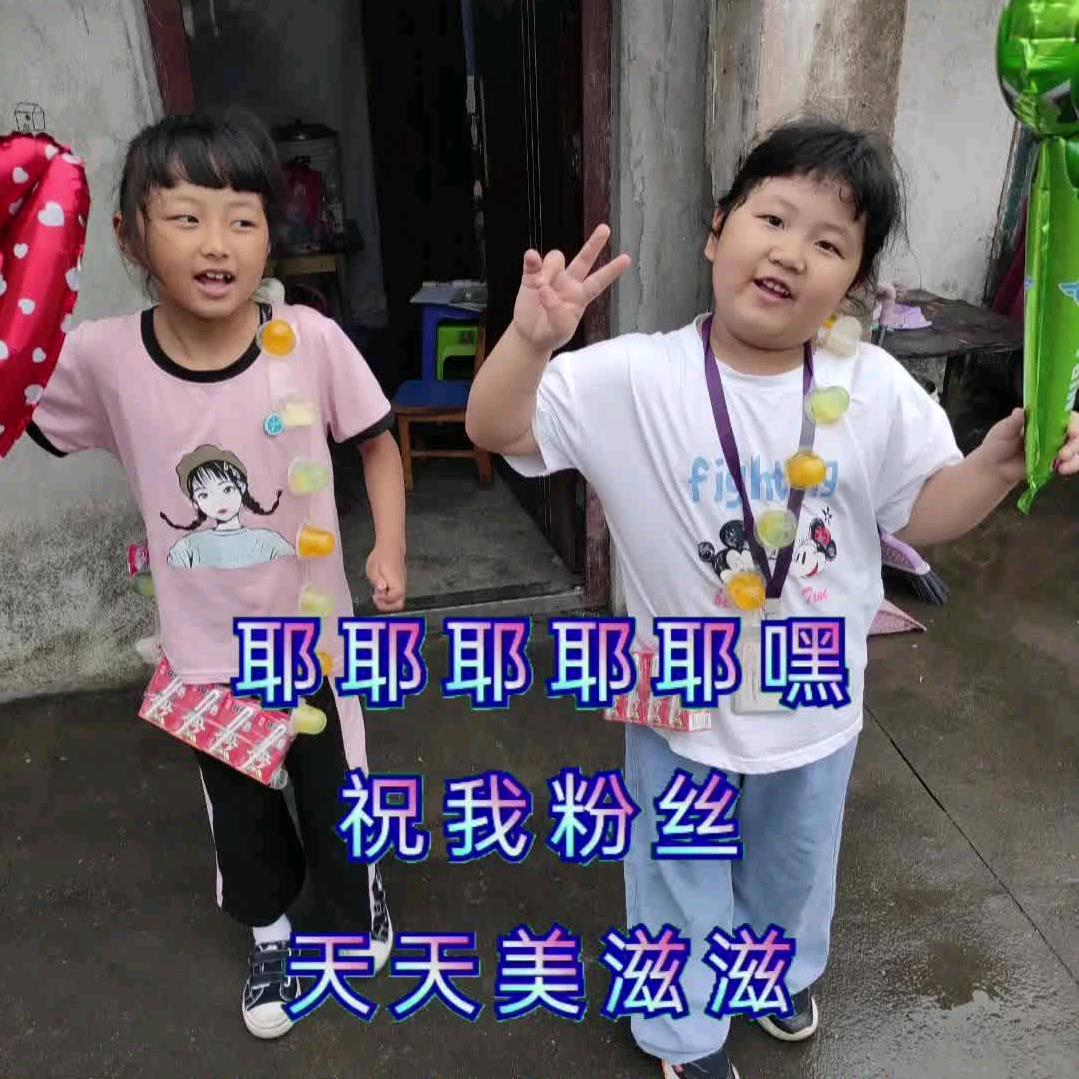 胖瘦姐妹花