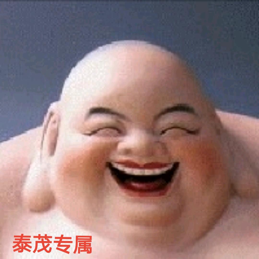 泰茂