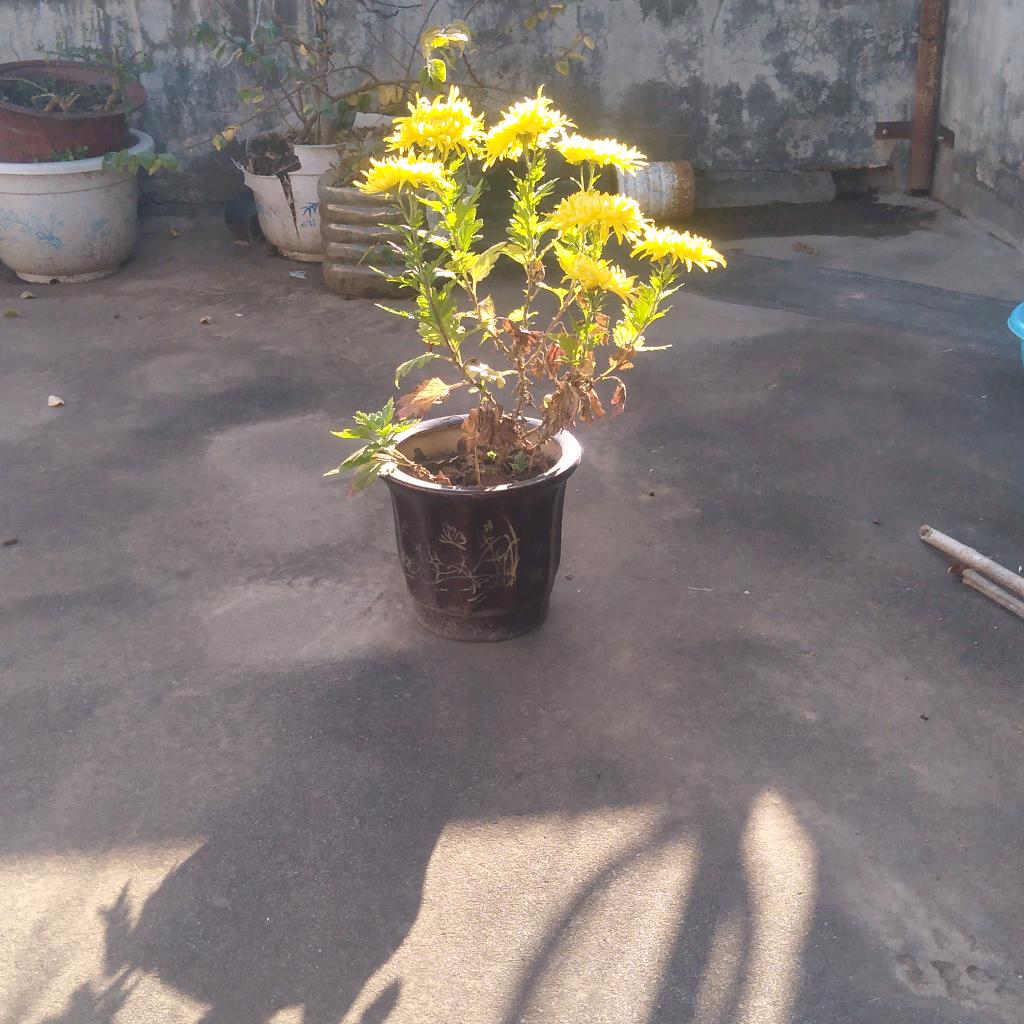 你永远不懂我的心