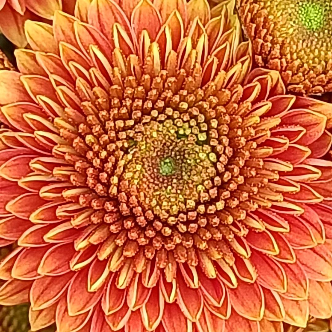 爱收藏