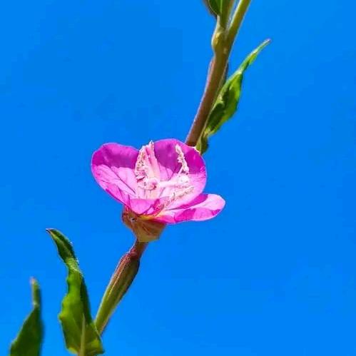 青蓝校外托管中心❤️金贝贝幼儿园