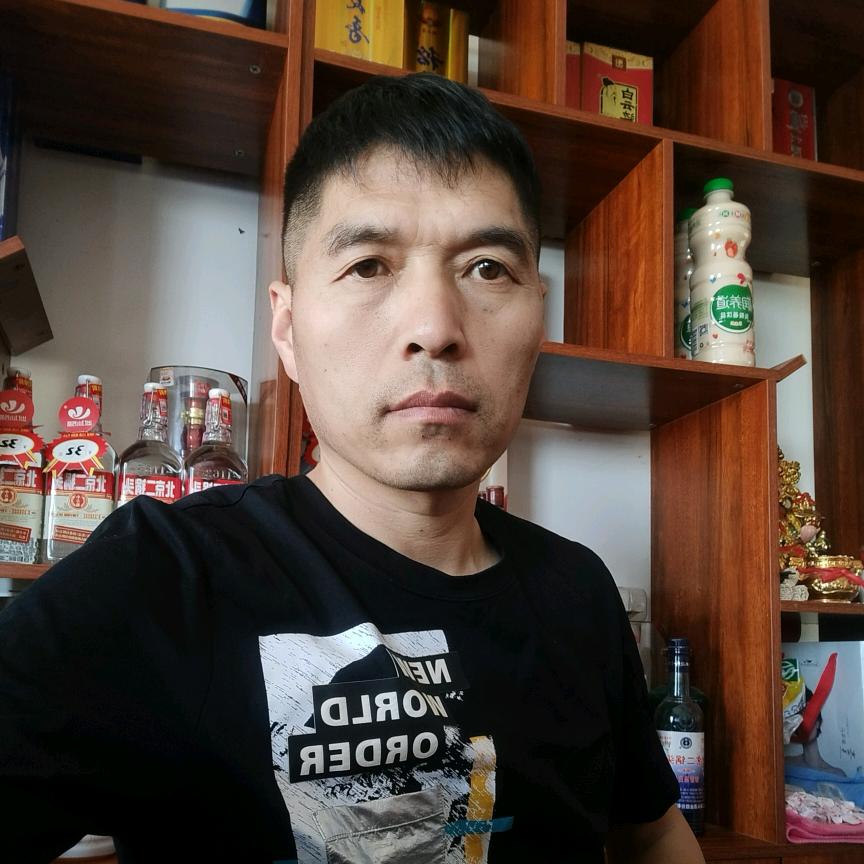 巡航捣蛋