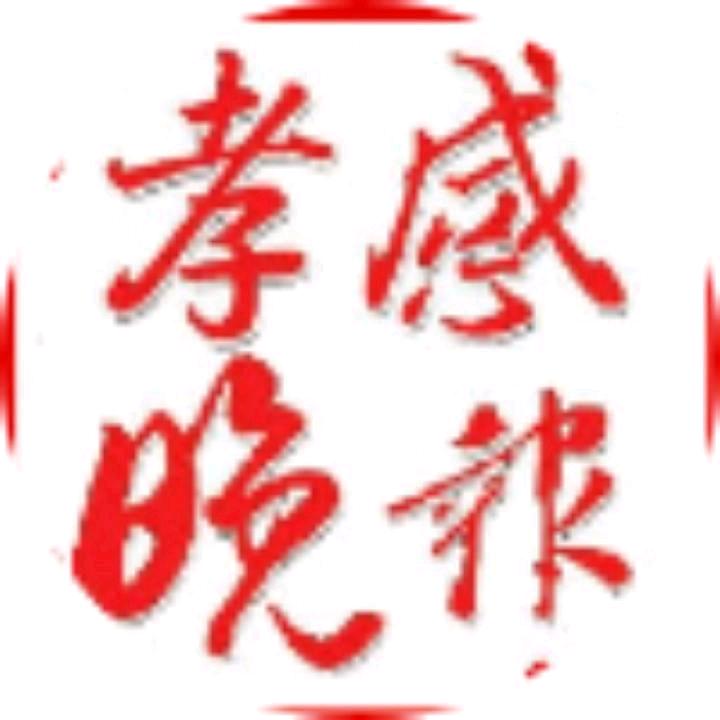 孝感晚报