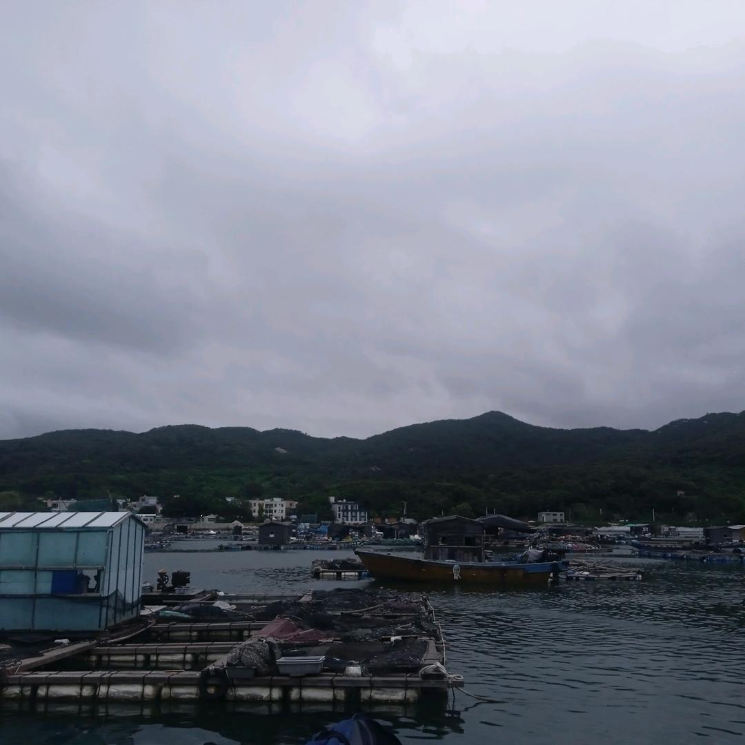 大哥陈