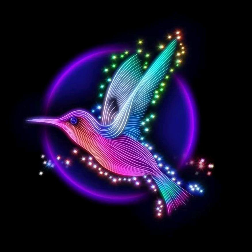 缘定好物在橱窗