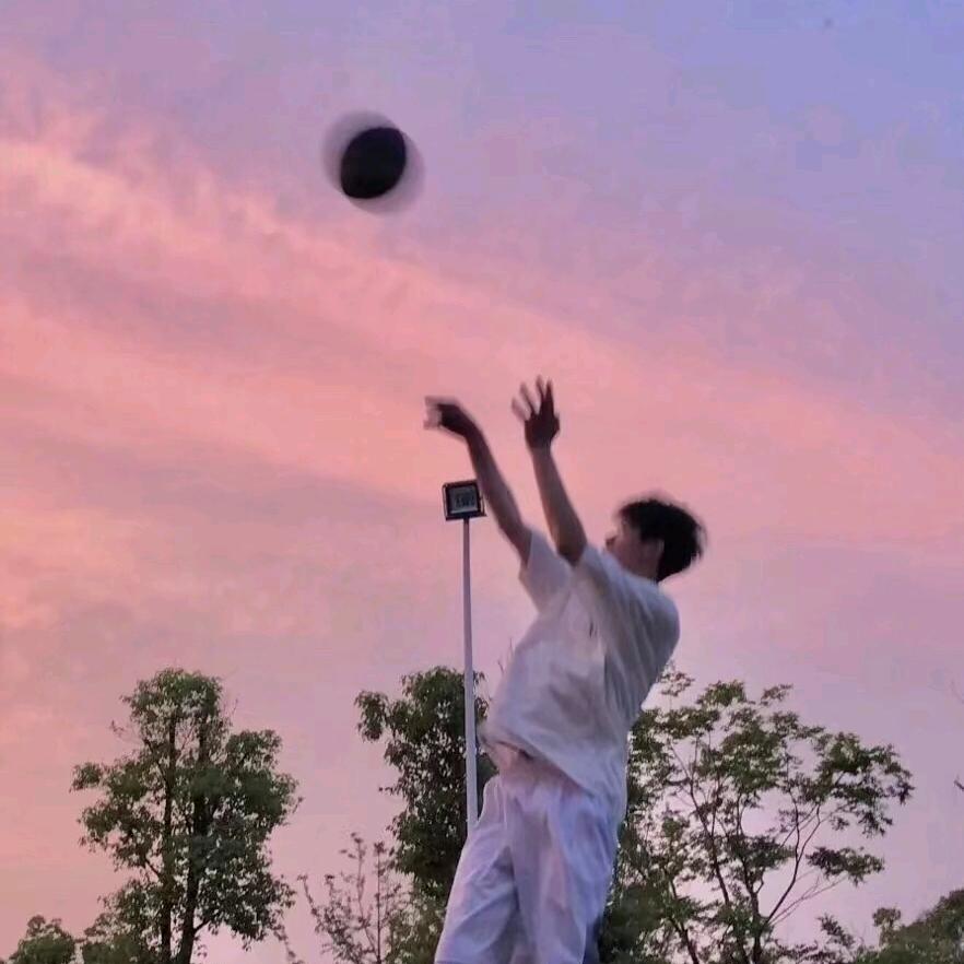 林鹤枭