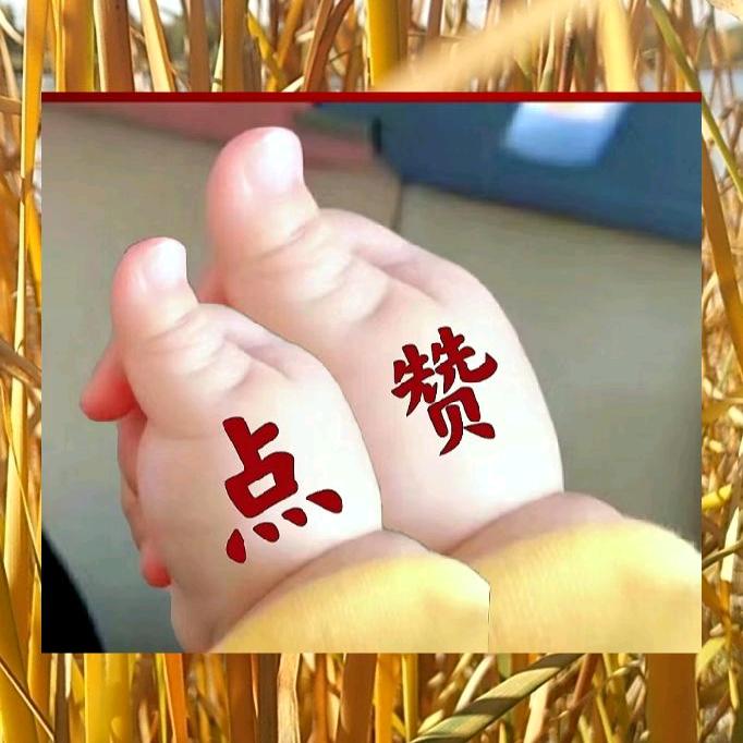 蜀南风啸啸