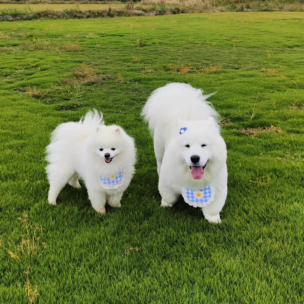 叮当麻麻🥰
