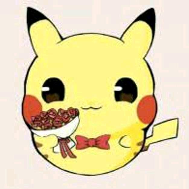 呆猫