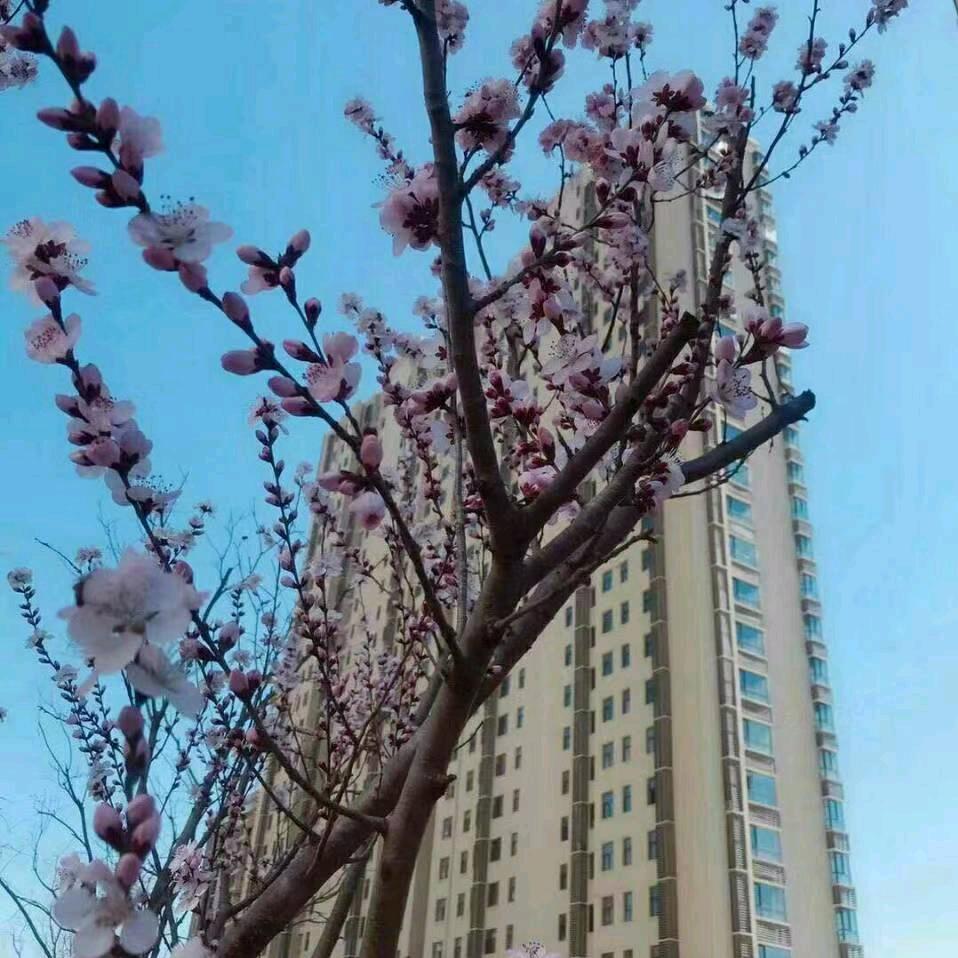 每天快快乐乐