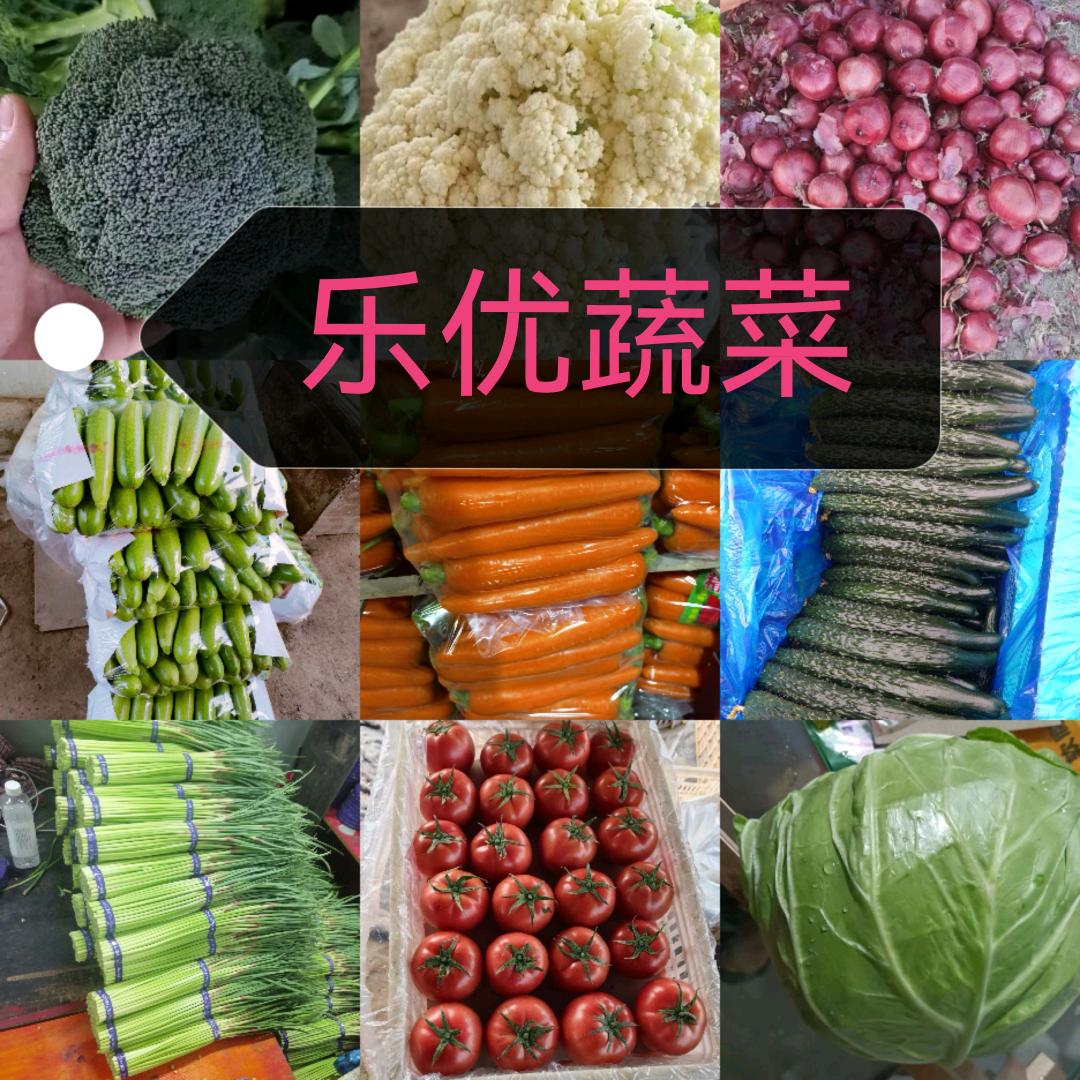 乐优蔬菜