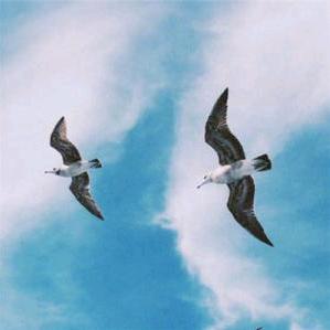 ～子牧～
