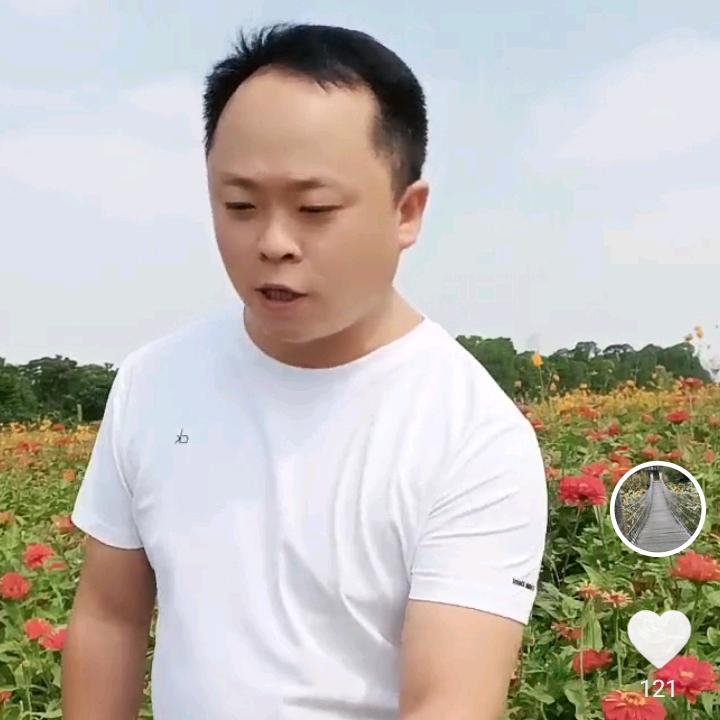乡村小江