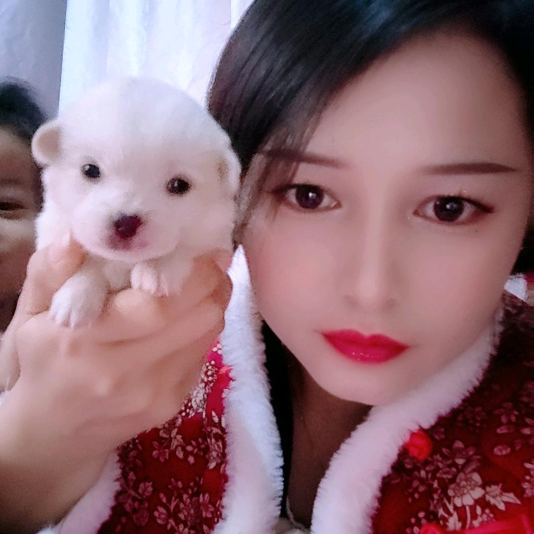 东京的雨漫过巴黎(琪琪妈)