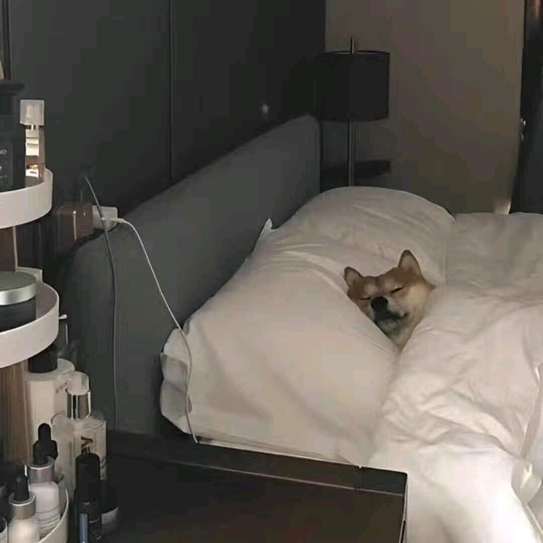 庚子冬不想早起