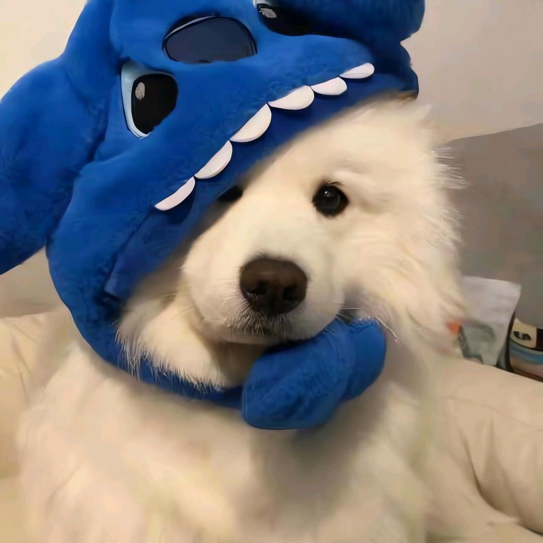 ..........