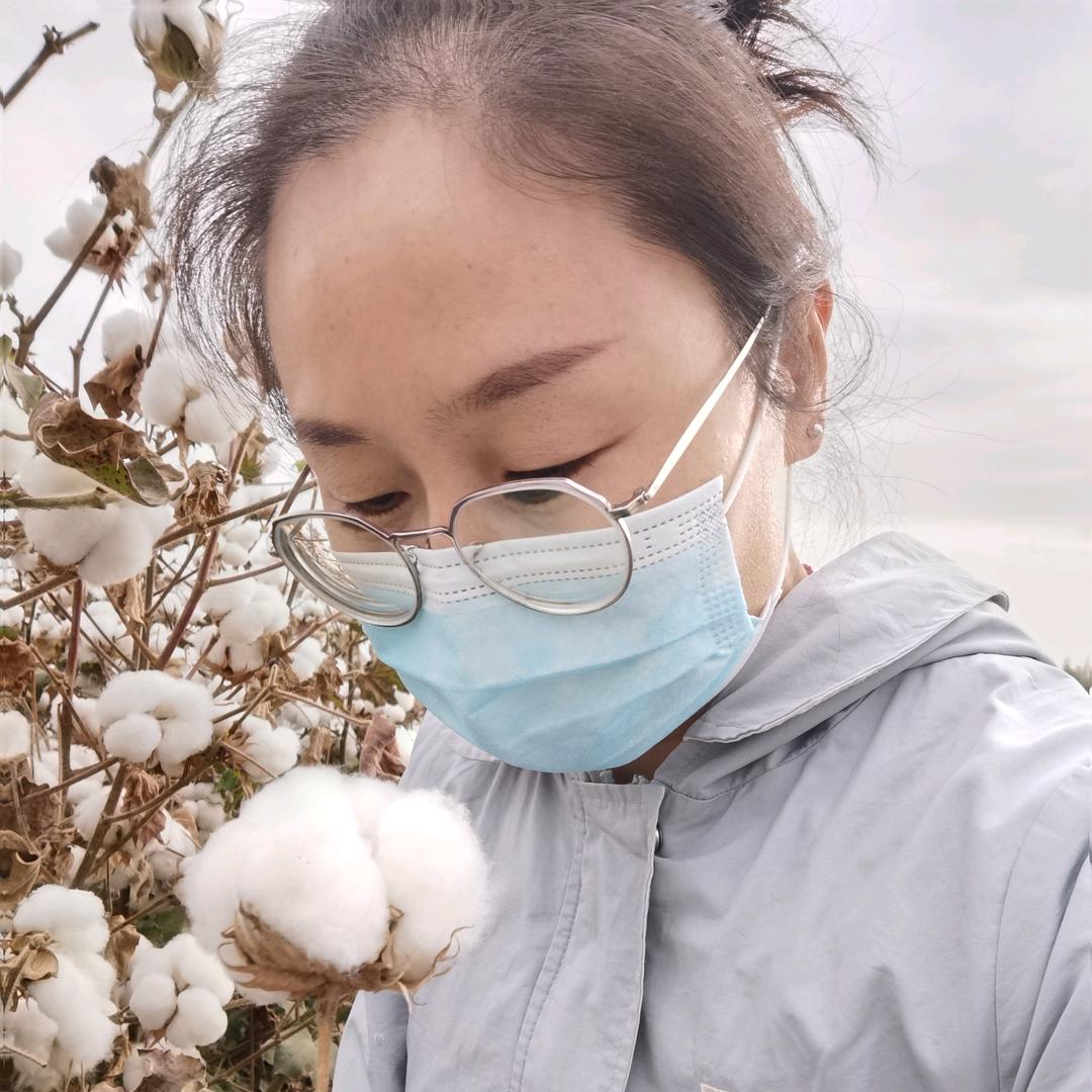 棉花姐