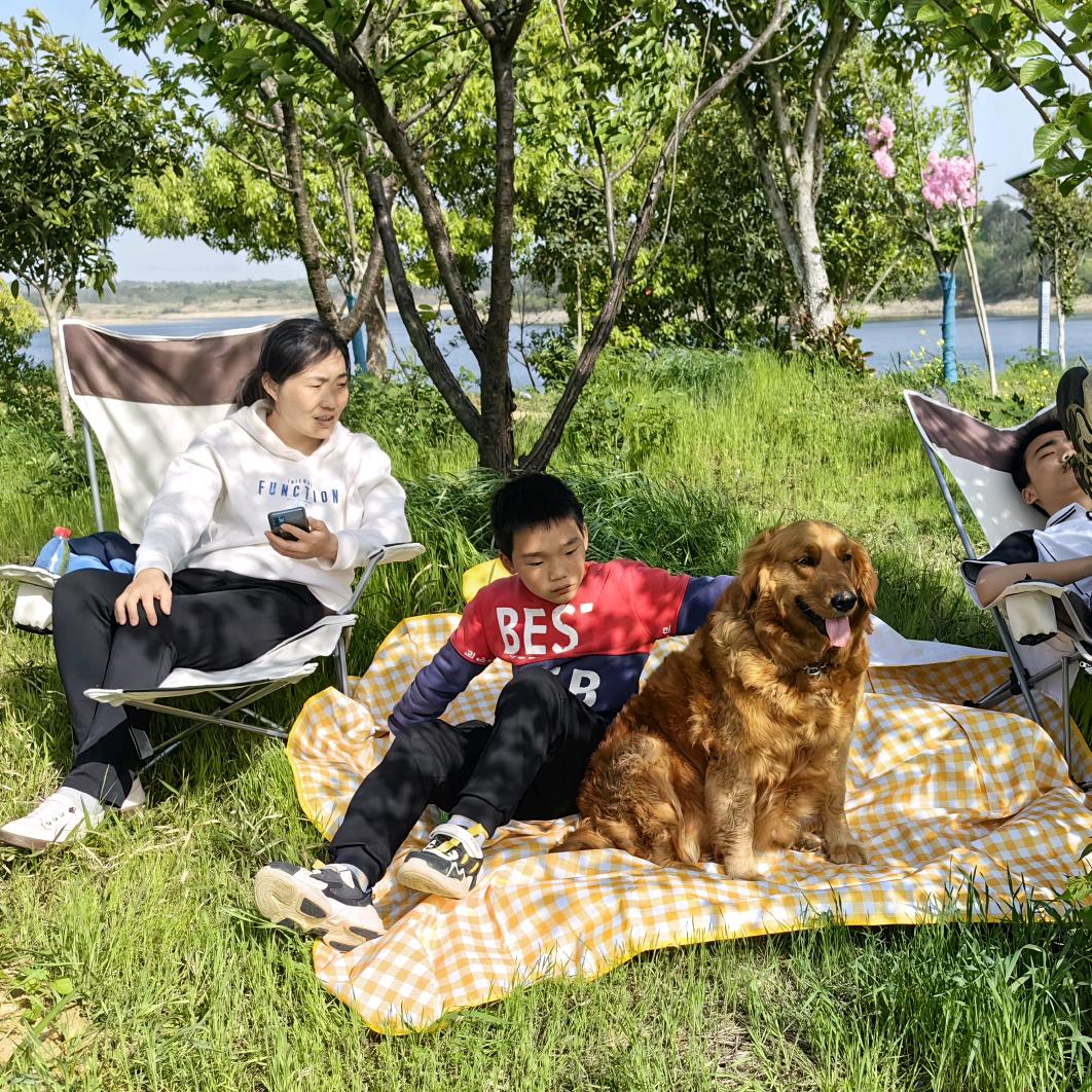 三毛