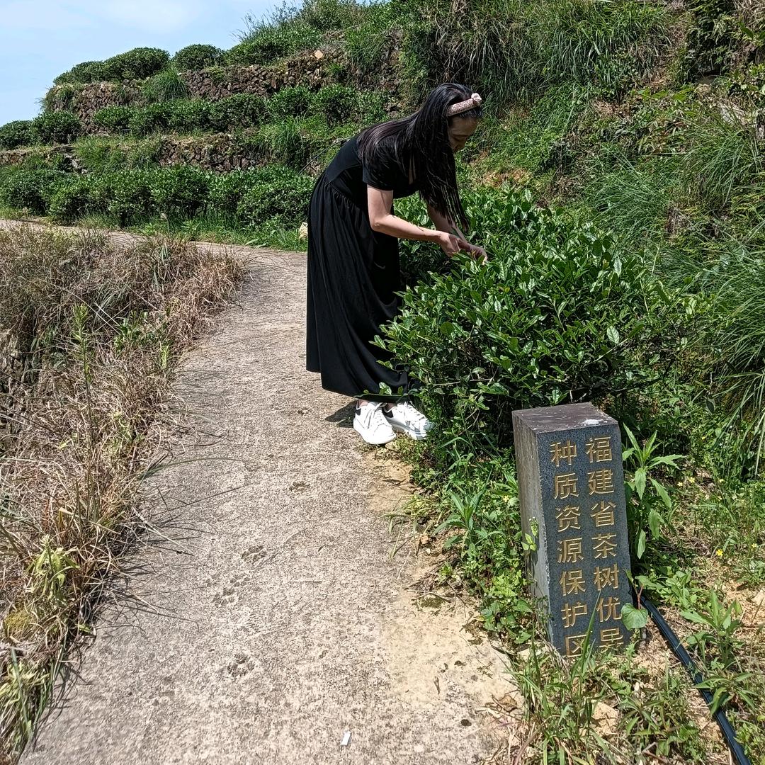 萍萍@好物推荐