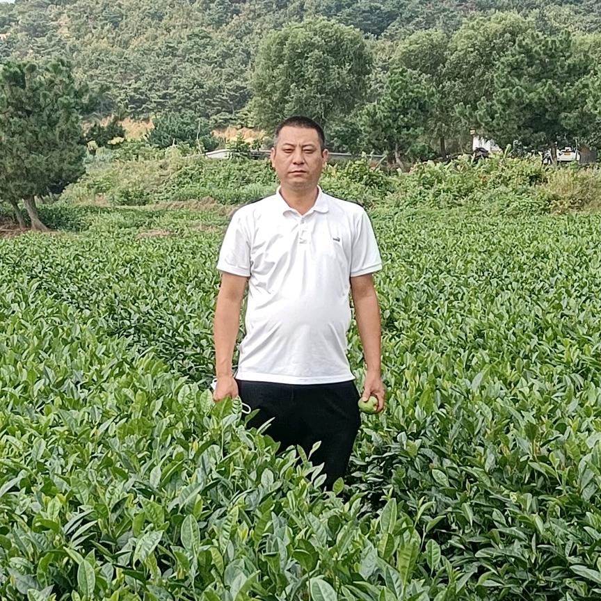 寂寞哥