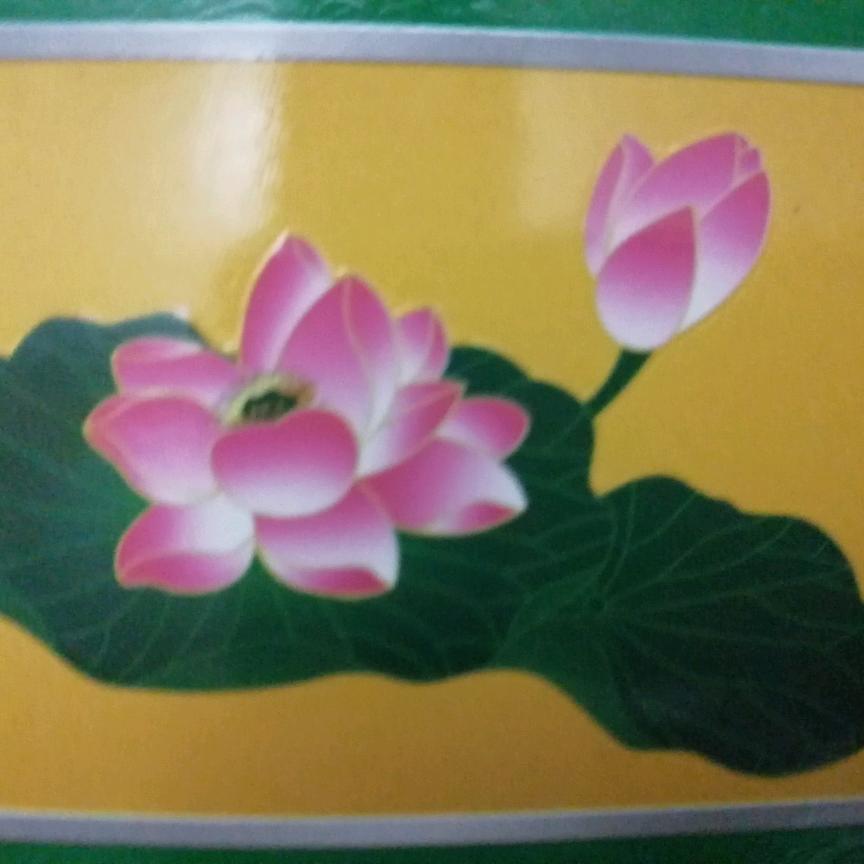 凡人一个