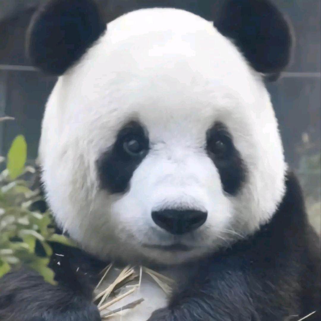 木见乙