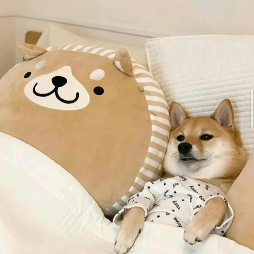 一只不平凡的修狗