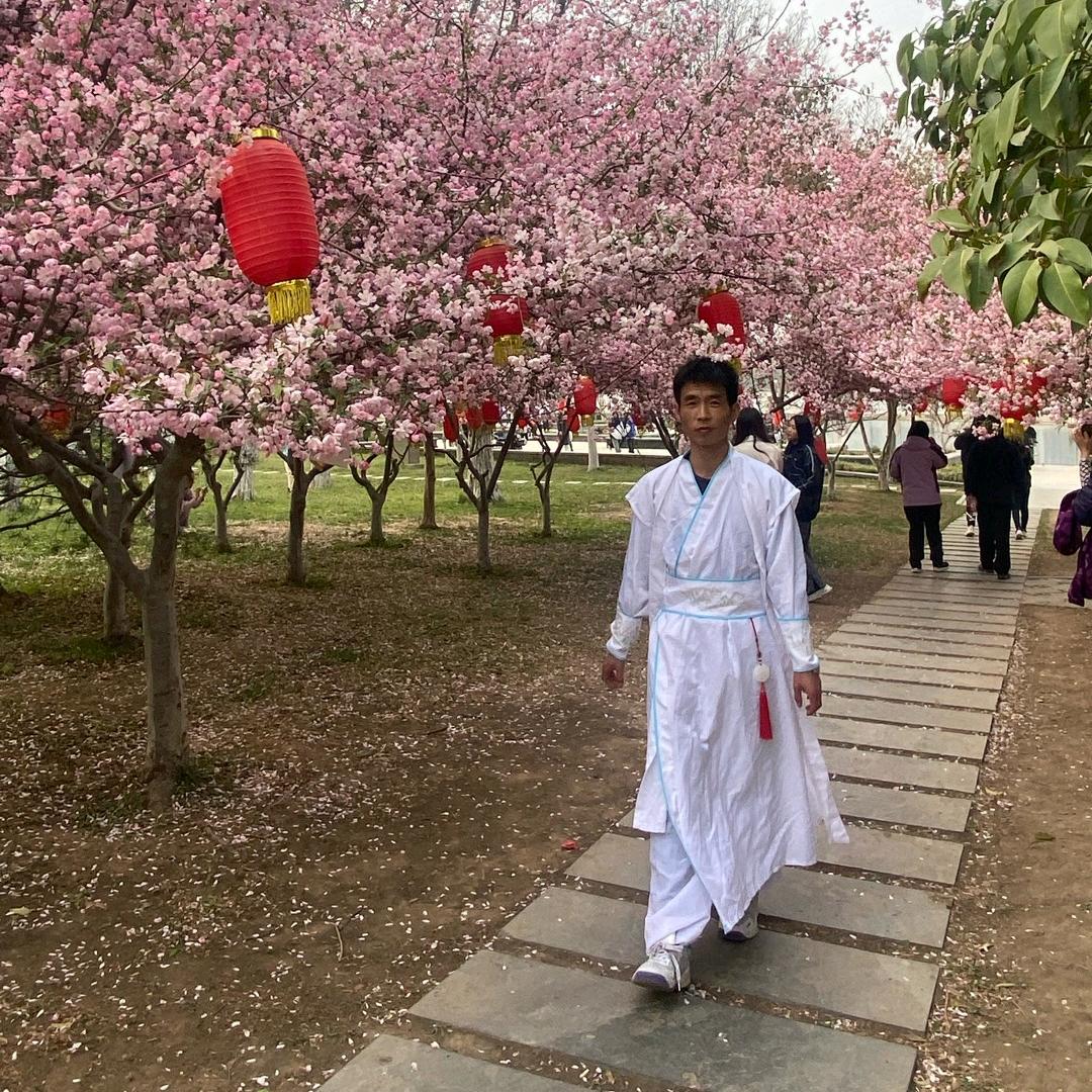 欣欣向荣66