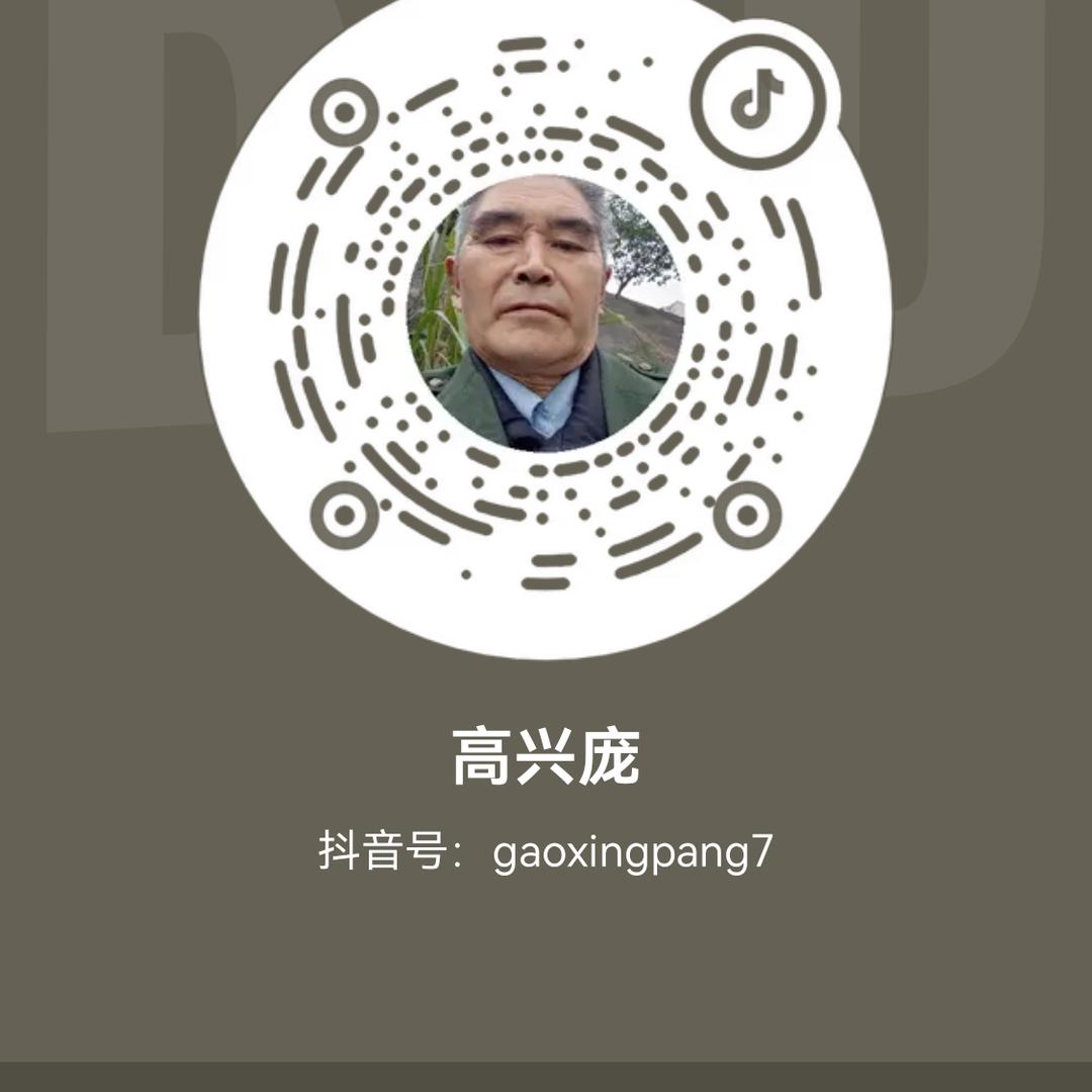 高兴庞