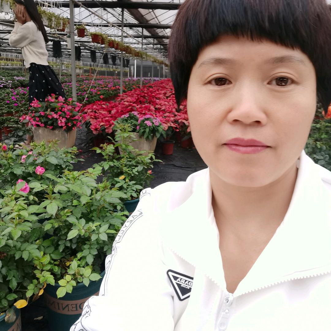 家政凤姐