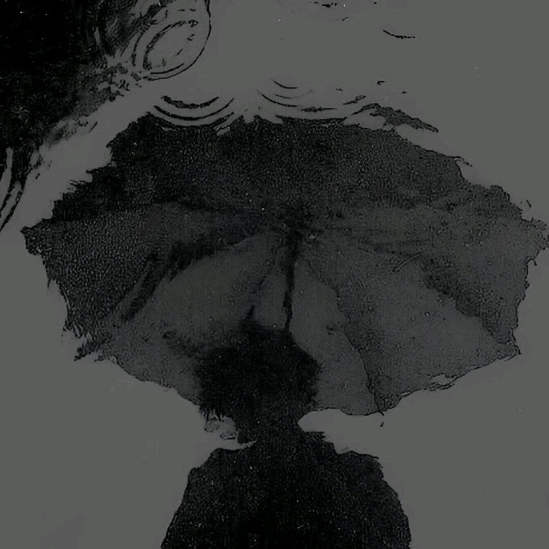新崽崽崽