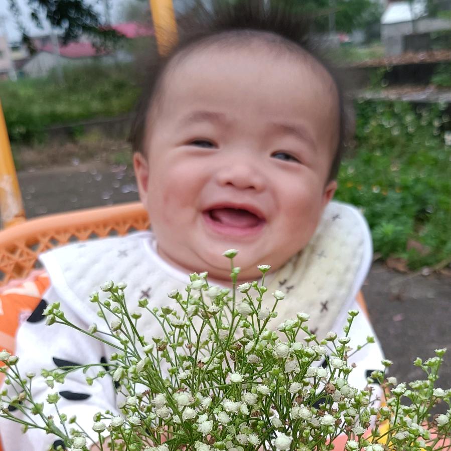 俩罗罗