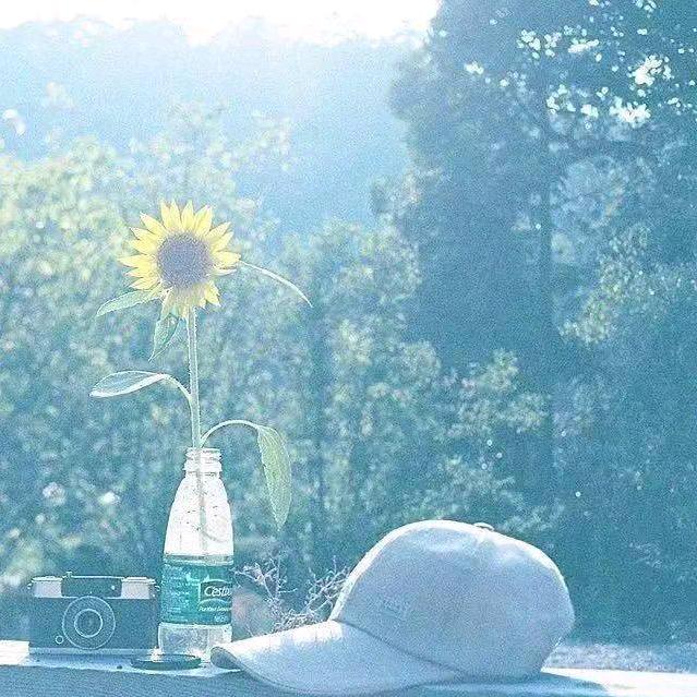 ღ  執 念°