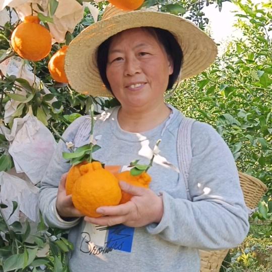 歪妈（好物分享）