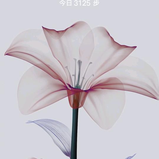 叶凯 66‘