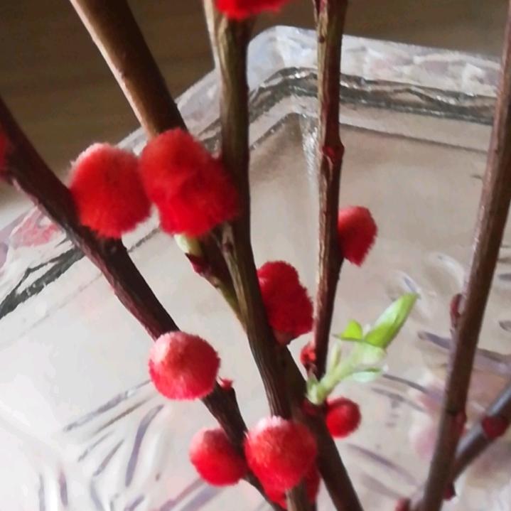 财哥