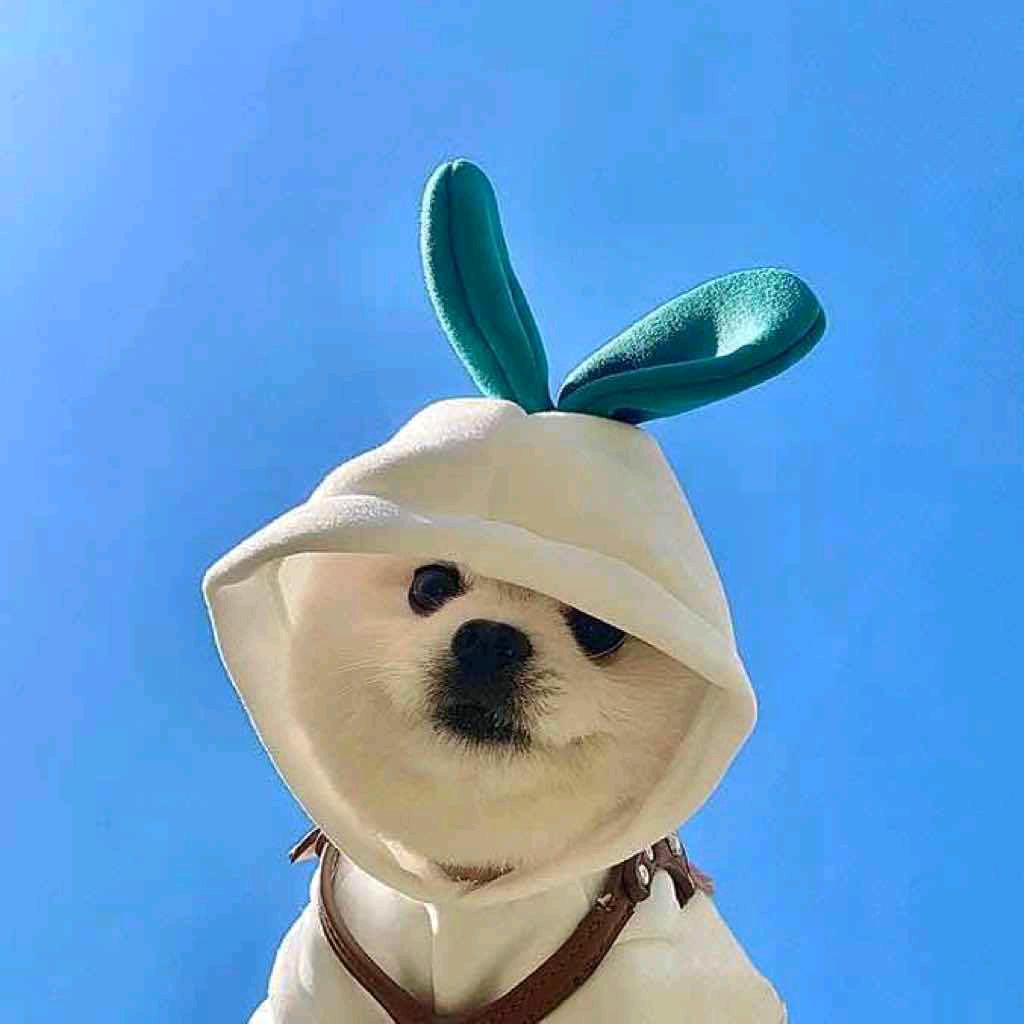 今日上上签٩(๛ ˘ ³˘)۶❤