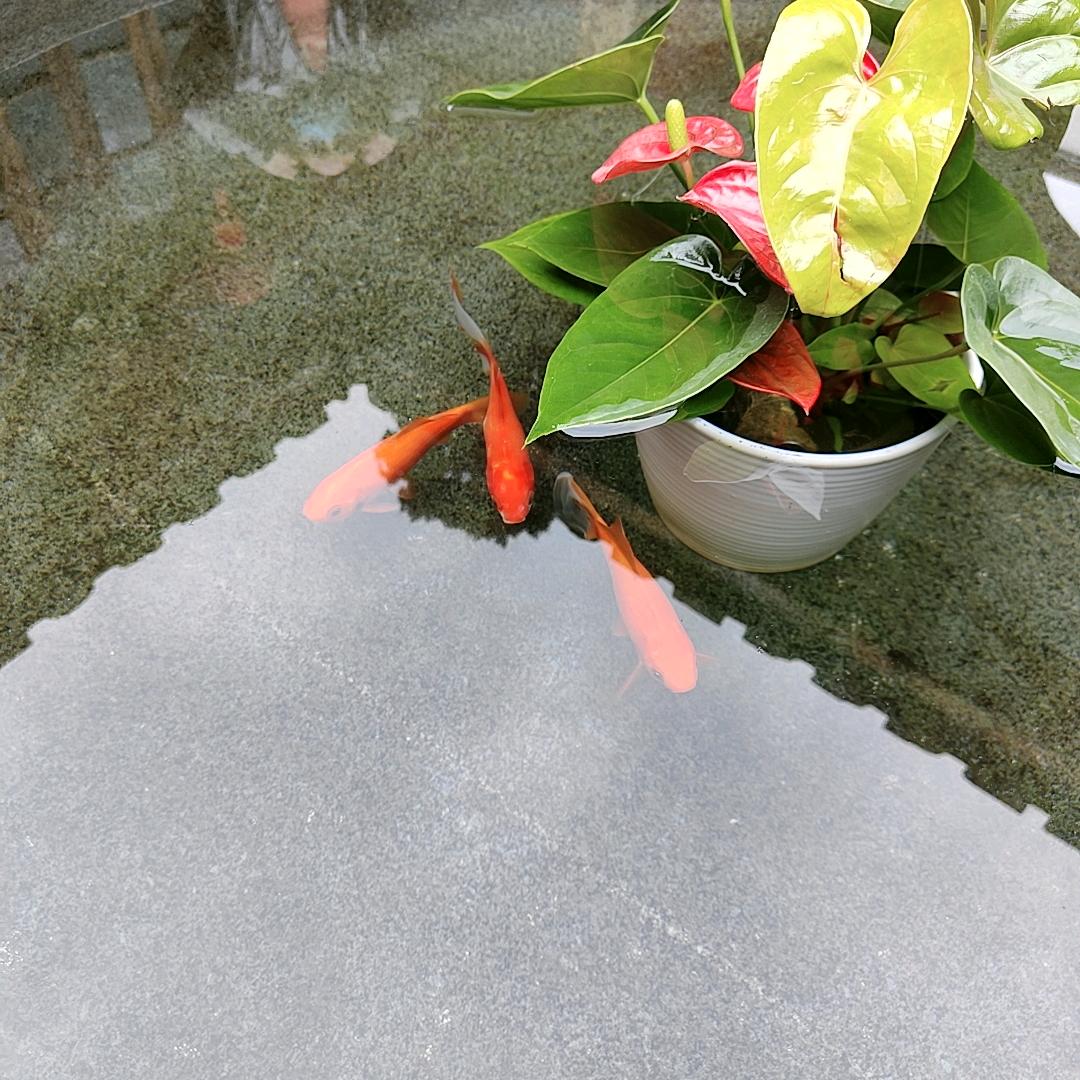 走在寒冷的街上